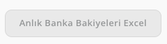 Anlık Banka Bakiyeleri excel